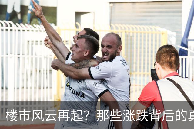 楼市风云再起？那些涨跌背后的真相